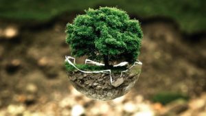 2016: Greenpeace